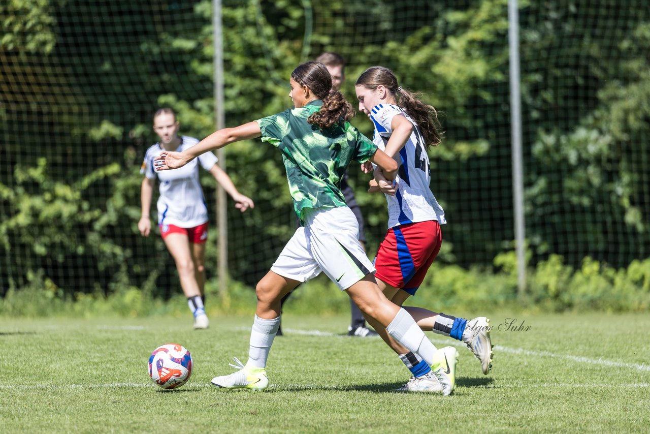 Bild 403 - wBJ Hamburger SV - VfL Wolfsburg : Ergebnis: 5:1